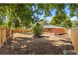 506 Mount Evans St - Photo 19