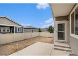 3787 Buckthorn St - Photo 37