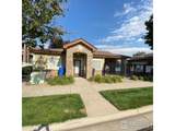 3814 Steelhead St - Photo 22