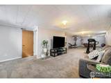 4105 Yarrow Ct - Photo 15