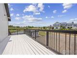 5794 Jackdaw Dr - Photo 41