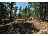 122 Elk Way - Photo 32