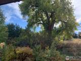 629 Deer Meadow Dr - Photo 35