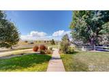 4061 Swan Mountain Dr - Photo 47