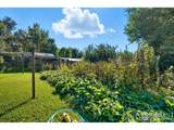 1047 Cherryvale Rd - Photo 27