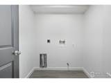 381 Mountain Ash St - Photo 24