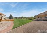 39230 Longs Peak Ct - Photo 43
