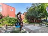 1517 Easy Rider Ln - Photo 28