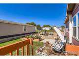 3105 Foxtail Ln - Photo 33
