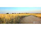 18510 County Road 39 - Photo 33