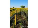 18510 County Road 39 - Photo 35