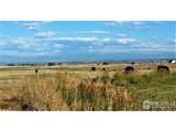 18510 County Road 39 - Photo 49