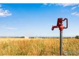 18510 County Road 39 - Photo 66