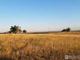 18510 County Road 39 - Photo 67