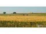 18510 County Road 39 - Photo 70
