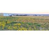 18510 County Road 39 - Photo 78