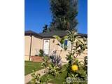 4870 Irving St - Photo 4