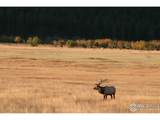 1565 Highway 66 - Photo 18