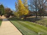 6201 Willow Ln - Photo 6