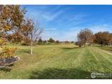 3601 Ponderosa Ct - Photo 26