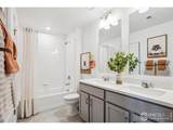 932 Logan Peak Way - Photo 17