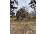 0 Northwoods Dr - Photo 3