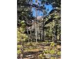 399 Skinner Rd - Photo 11
