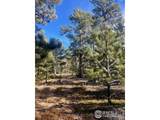 399 Skinner Rd - Photo 15