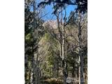 399 Skinner Rd - Photo 19