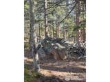 399 Skinner Rd - Photo 20