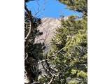 399 Skinner Rd - Photo 4