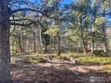 399 Skinner Rd - Photo 8
