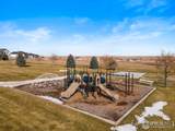 2668 Cutter Dr - Photo 5