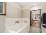 7301 Poudre Canyon Rd - Photo 16