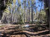 3323 Purnell Ln - Photo 10
