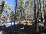 3323 Purnell Ln - Photo 11