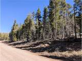 3323 Purnell Ln - Photo 3