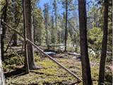 3323 Purnell Ln - Photo 4