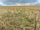 0 Wendling Trail Lot 13 - Photo 21
