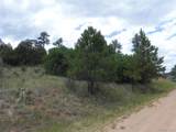 7749 Inca Rd - Photo 17
