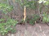 7749 Inca Rd - Photo 18