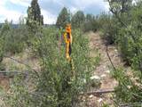 7749 Inca Rd - Photo 22