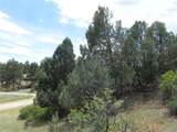 7749 Inca Rd - Photo 33