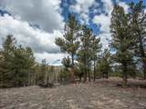 24900 County Road 339 - Photo 16