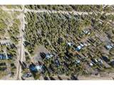 312 Mt Massive Rd - Photo 16