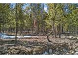 312 Mt Massive Rd - Photo 19