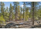 312 Mt Massive Rd - Photo 24