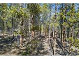 312 Mt Massive Rd - Photo 25