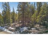 312 Mt Massive Rd - Photo 28