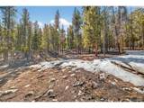 312 Mt Massive Rd - Photo 6